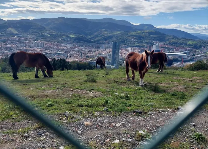 Center 90's Parking Kwatera prywatna *