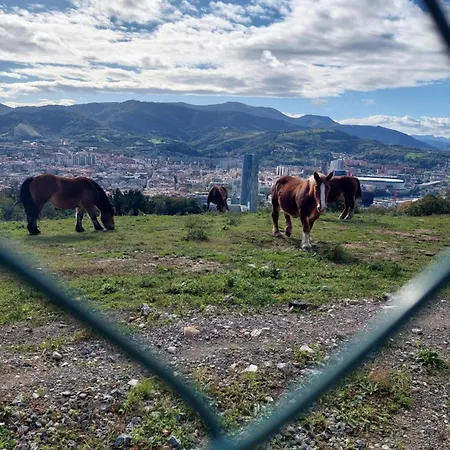 Center 90's Parking Homestay szállás *